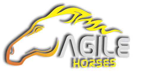 Agile Horses – Equestrian Clothing Manufacturer